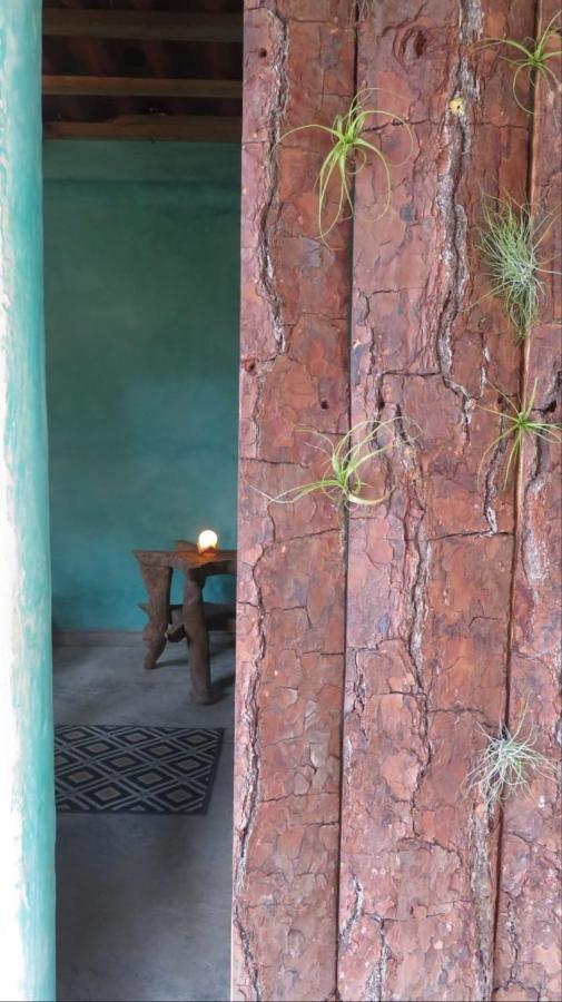 Ocosingo Casita Tonina B&B 외부 사진