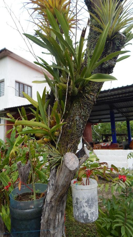 Ocosingo Casita Tonina B&B 외부 사진