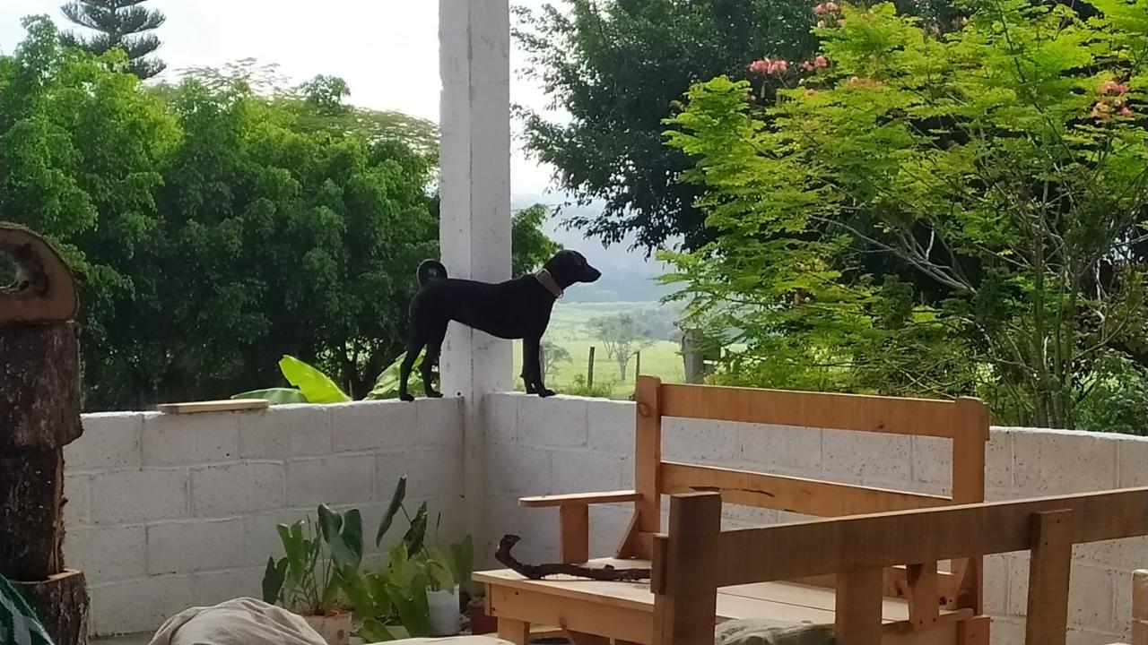 Ocosingo Casita Tonina B&B 외부 사진
